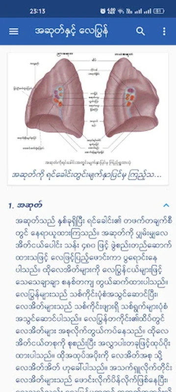 ခန္ဓာဗေဒ for Android - Unlock the Secrets of Human Anatomy