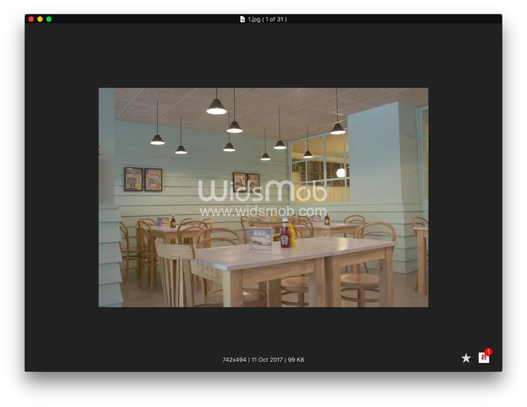 WidsMob Viewer for Mac: Image Viewing and Editing Made Easy