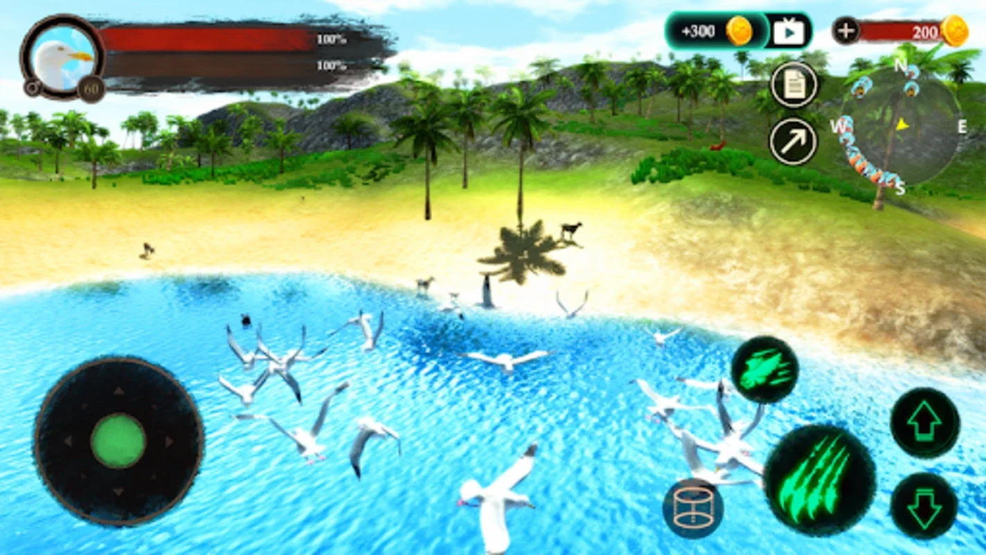 The Seagull for Android - Immersive Wildlife Sim