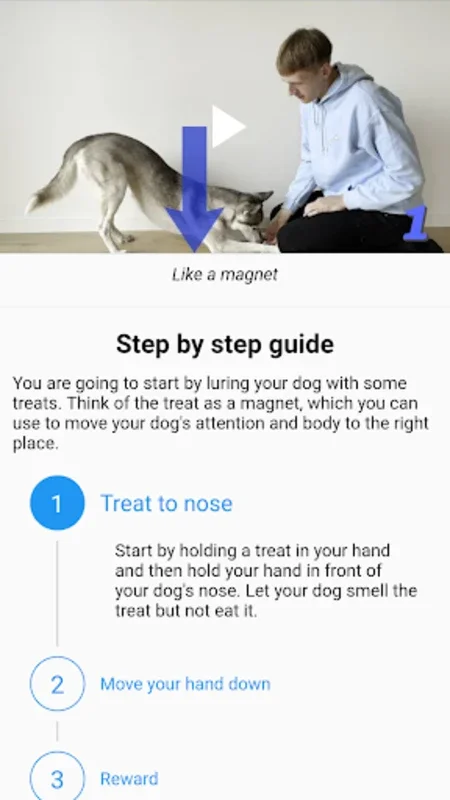 Pocket Puppy School for Android: Simplify Dog Training