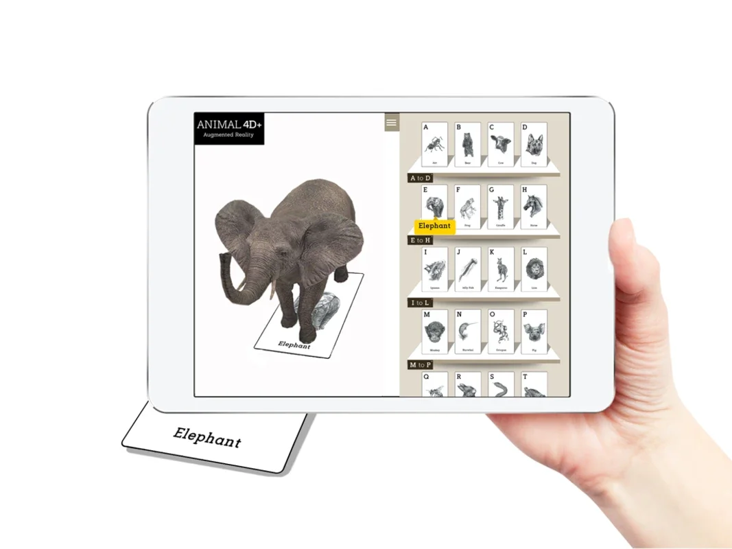 Animal 4D+ for Android - Immerse in Augmented Reality