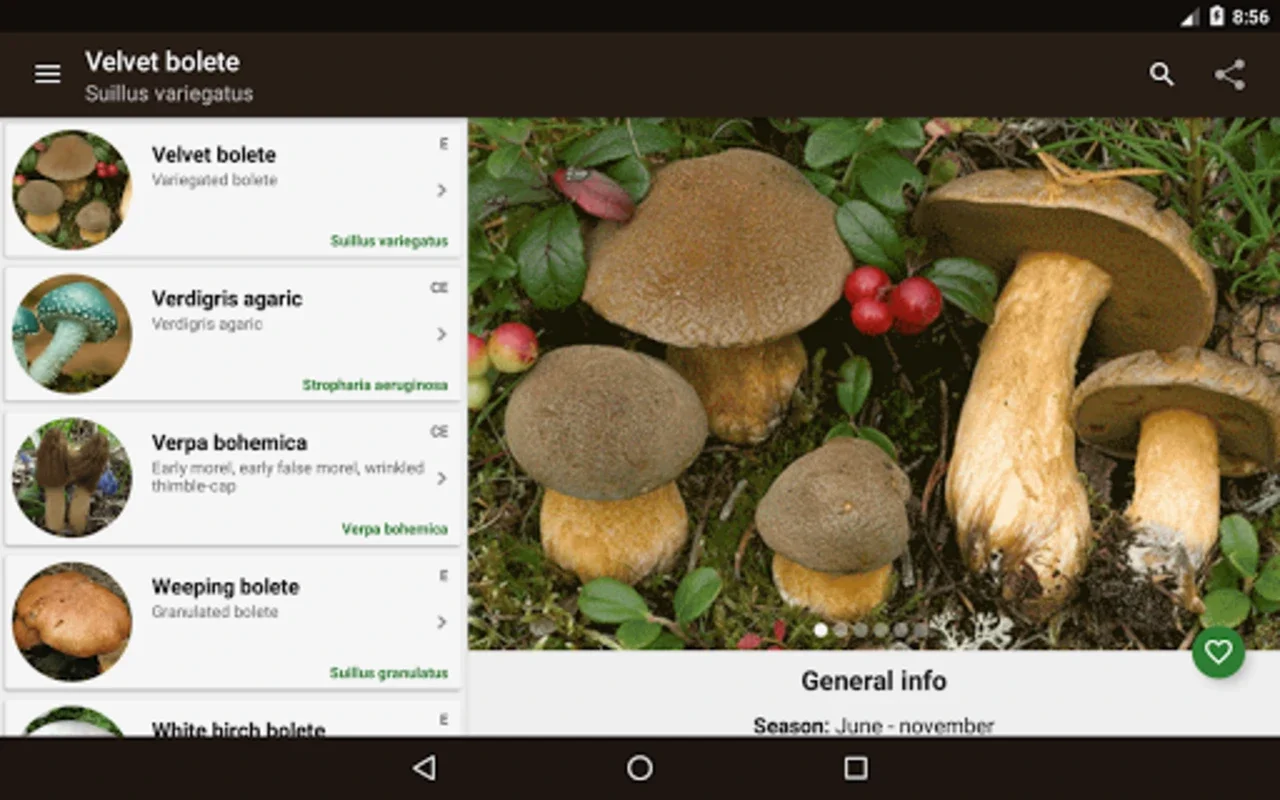 Book of mushrooms for Android - Comprehensive Mushroom Guide