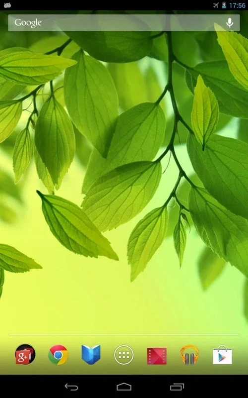 Leaf Live Wallpaper for Android - Enhance Your Screen