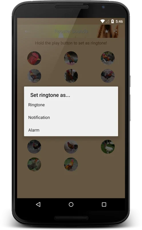 Rooster Sounds for Android - Authentic Sound Experience