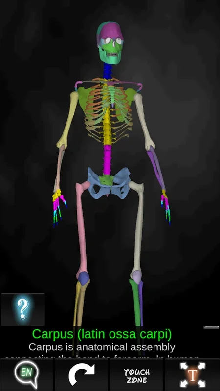 Bones Human 3D (anatomy) for Android: In - Depth Skeletal Knowledge