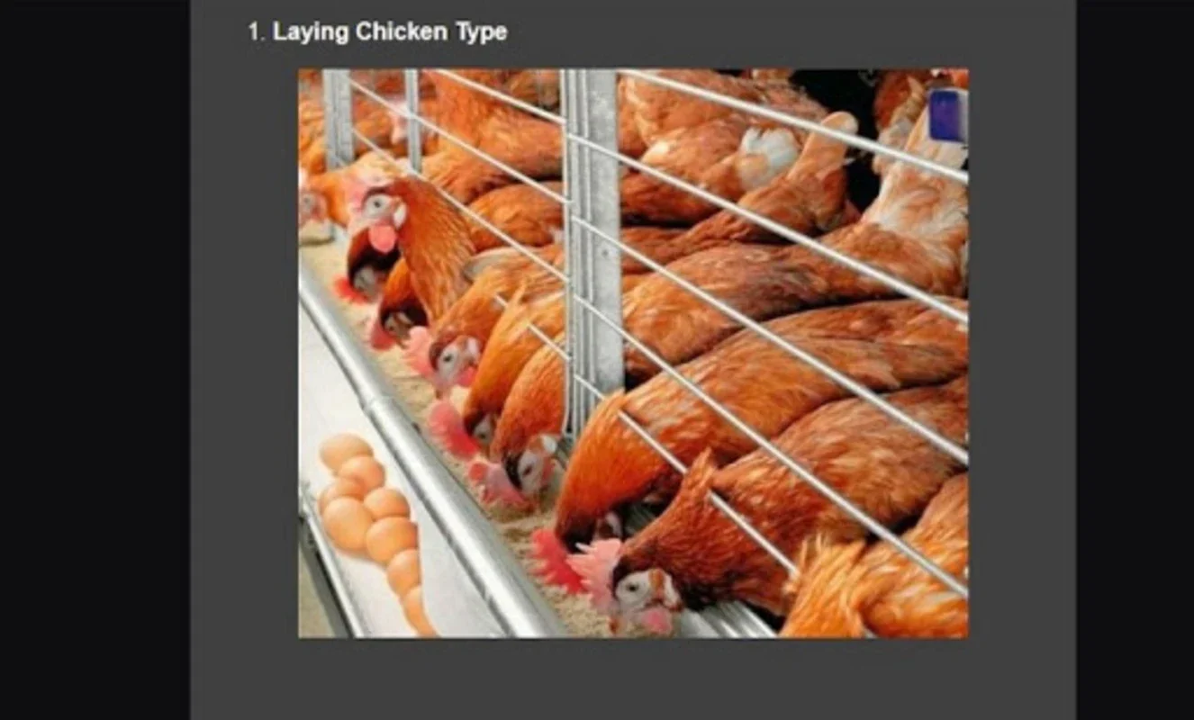 Cultivation of Laying Hens for Android: Manage Hen Farming