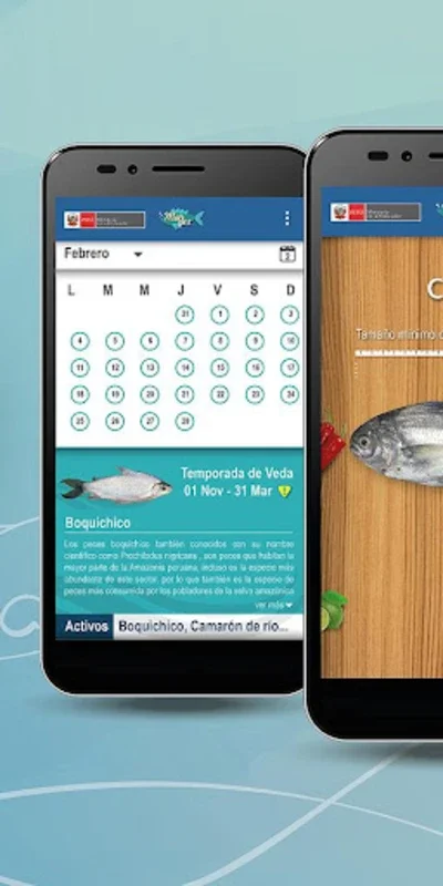 MARPEZ APP for Android: Sustainable Fishing & More