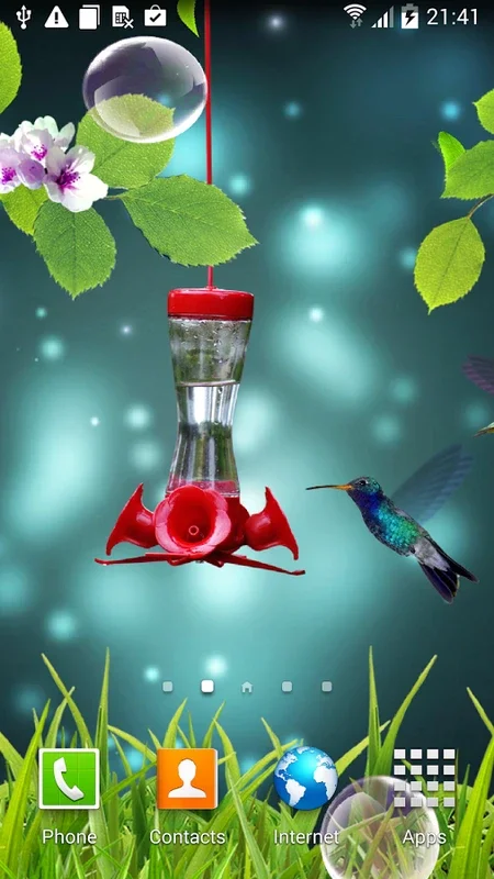 Hummingbirds Live Wallpaper for Android - Serene Visuals