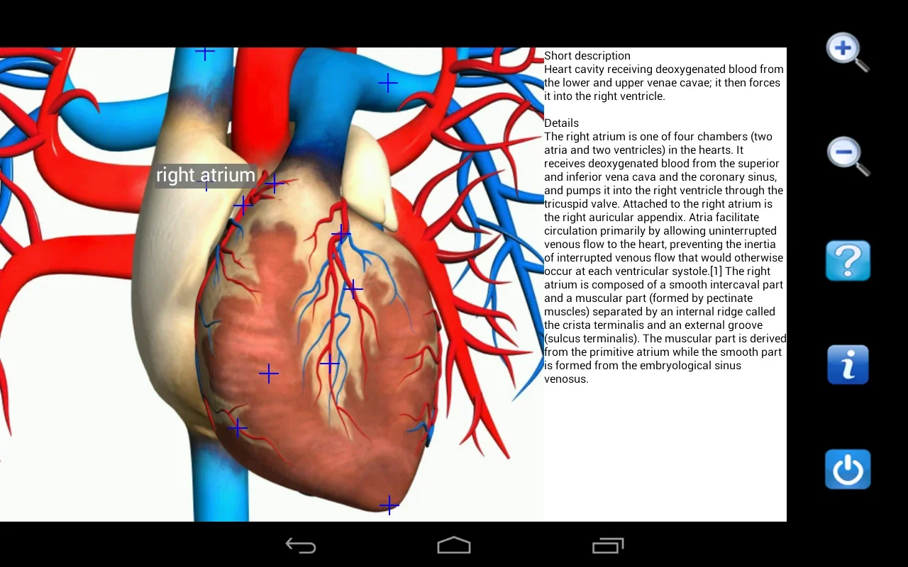 Visual Anatomy Free for Android - Enrich Your Learning