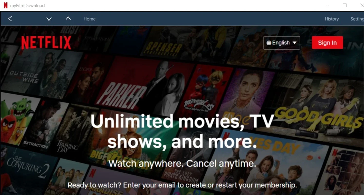 myNetflix for Windows - Diverse Entertainment Hub