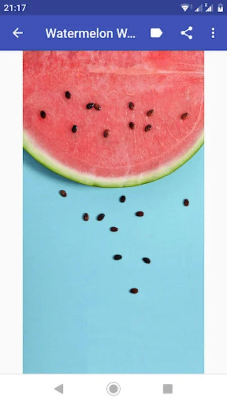 Watermelon Wallpapers for Android - Enhance Your Screen