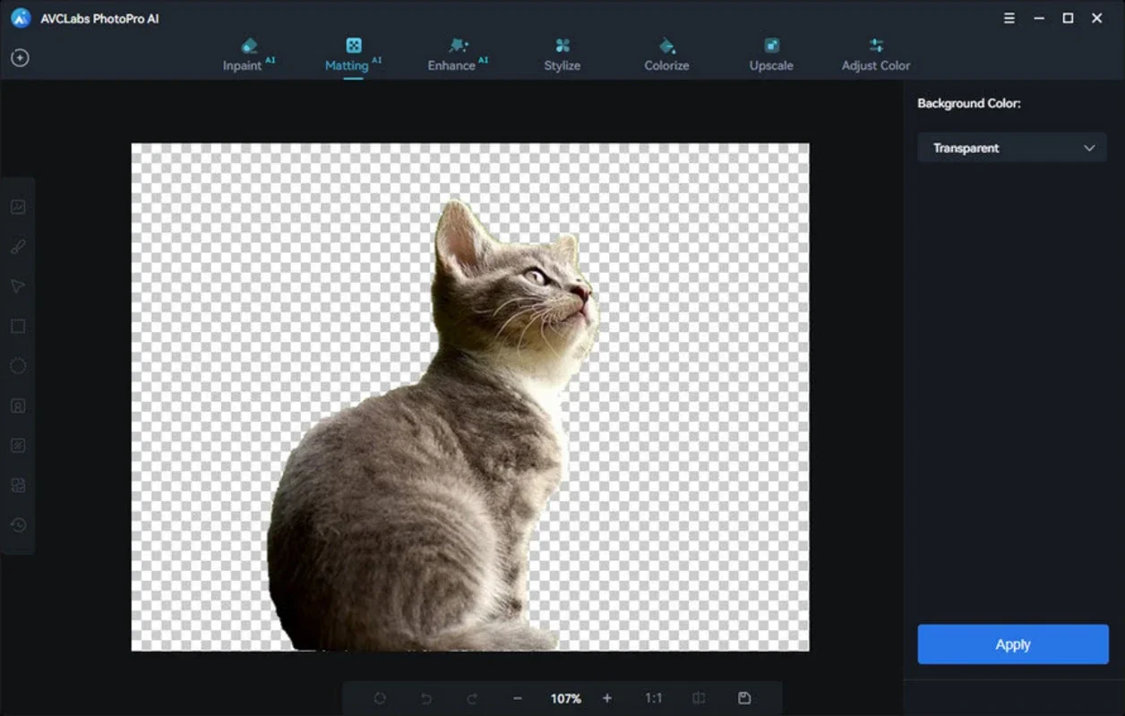 AVCLabs PhotoPro AI for Windows: Professional Editing Made Easy