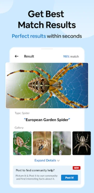 Insect Spider & Bug identifier for Android - No Downloading Needed