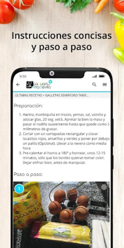 La Juani de Ana Sevilla for Android: Diverse Recipes Galore