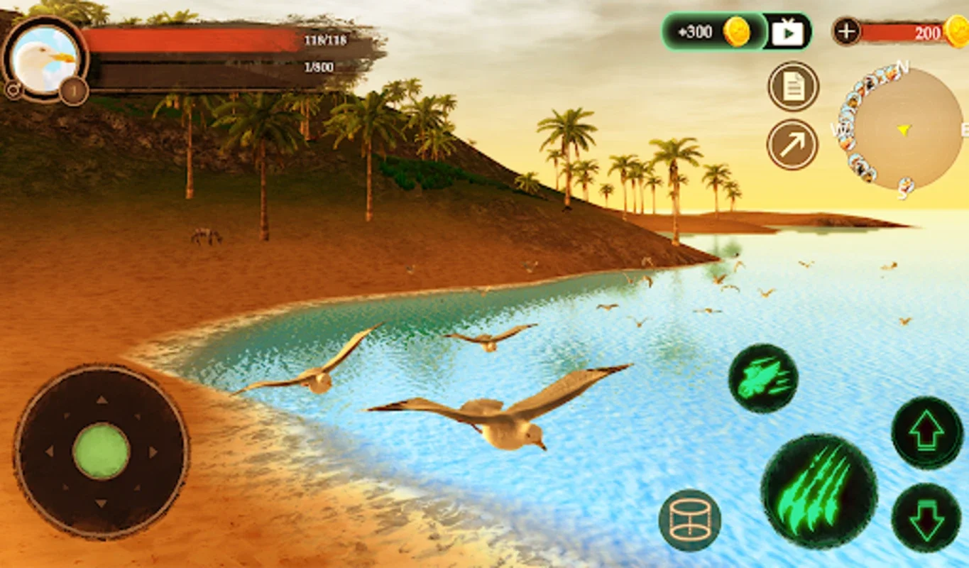 The Seagull for Android - Immersive Wildlife Sim