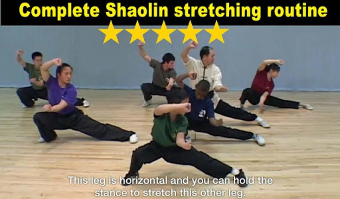 Shaolin Kung Fu for Android: Comprehensive Training