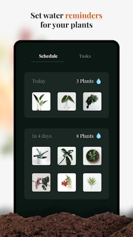 Plant-X for Android: Identify Plants and Get Gardening Tips