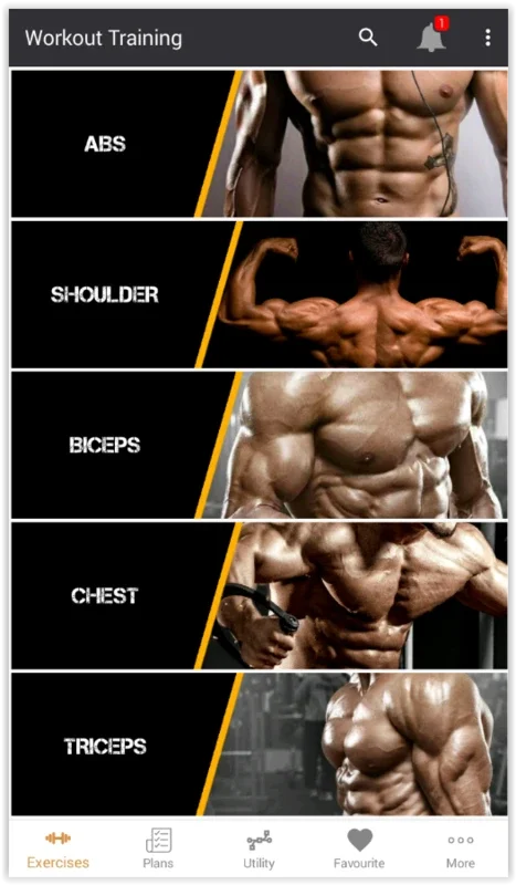 Pro Gym Workout for Android - Ideal for Home Workouts