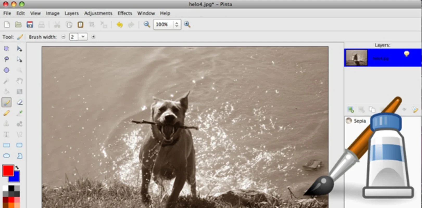 Pinta for Mac - A Free Image Editing Tool