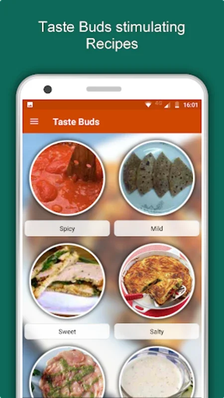 Non Veg Recipes: Meat, Seafood for Android - Gastronomic Delight