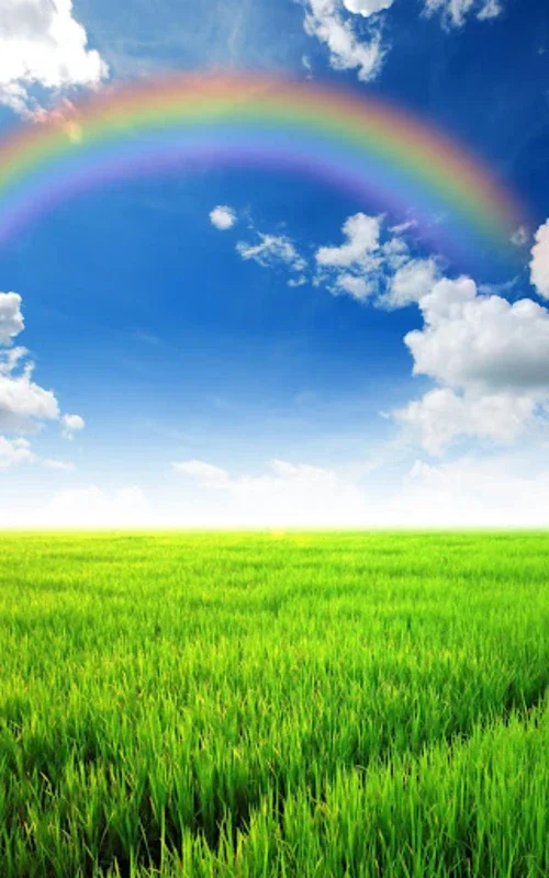 Rainbow Live Wallpaper for Android - Enhance Your Screen