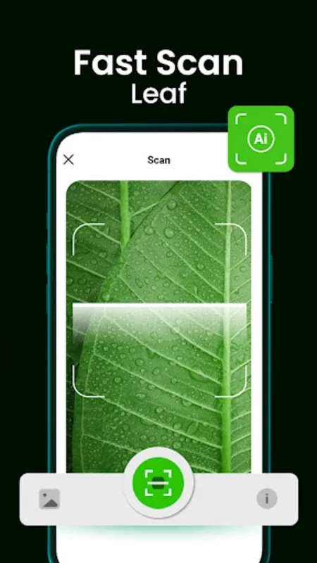 Bloomify - Plant Identifier for Android - No Downloading Needed