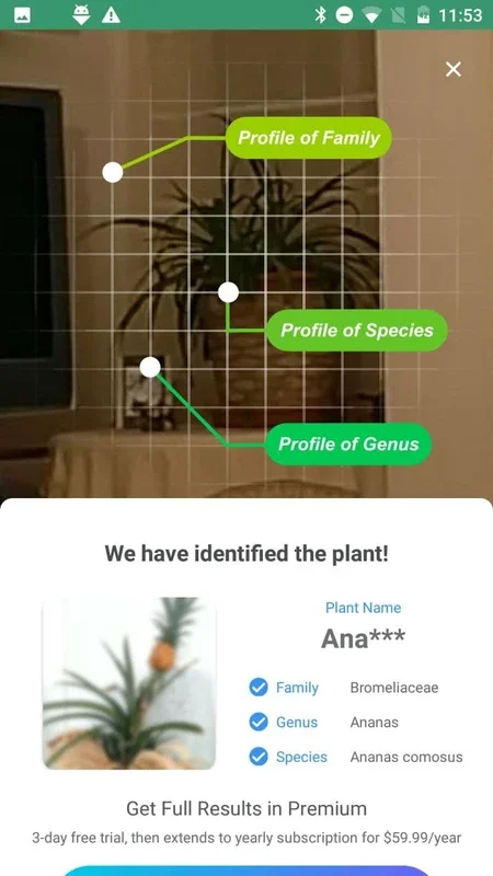 Plant Lens for Android: Identify Plants Easily