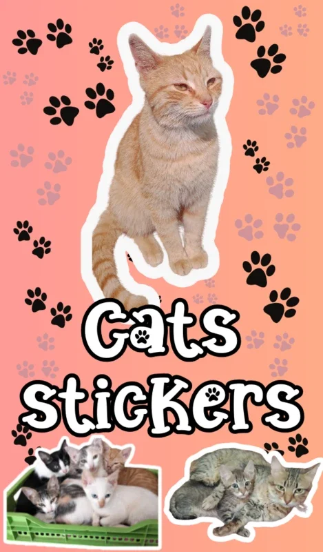 Cats Stickers for Android - Add Feline Fun to Your Chats