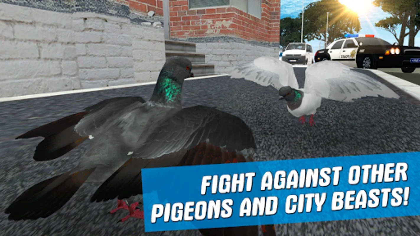 City Bird Pigeon Simulator 3D for Android: Fly in the City