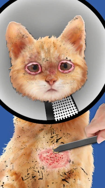 Cat ASMR: Salon Makeover for Android - Relaxing Cat Care