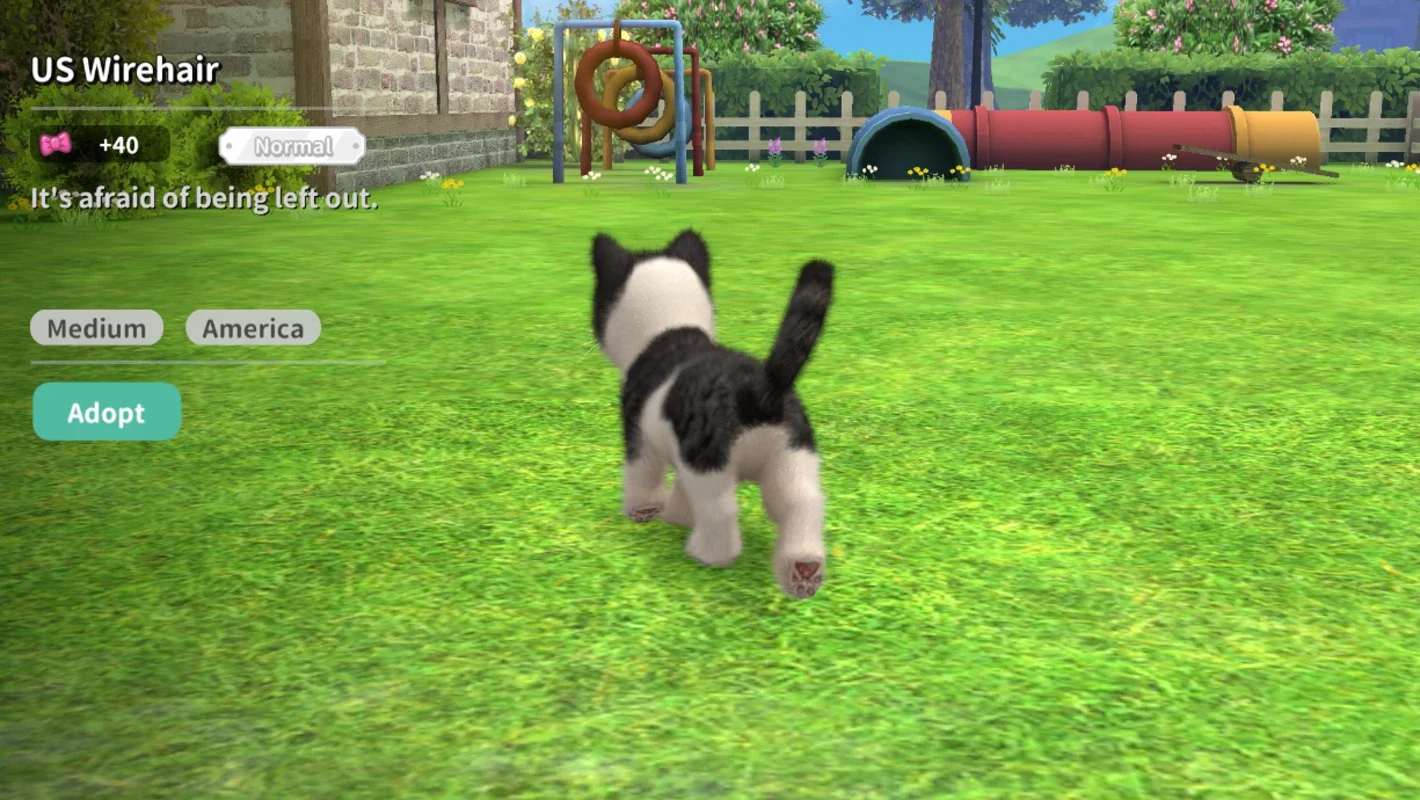 My Cat for Android - Care for Adorable Cats