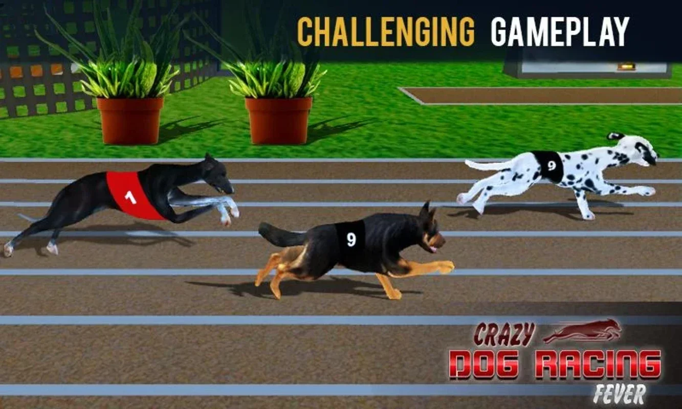 Crazy Dog Racing Fever for Android - Thrilling Races