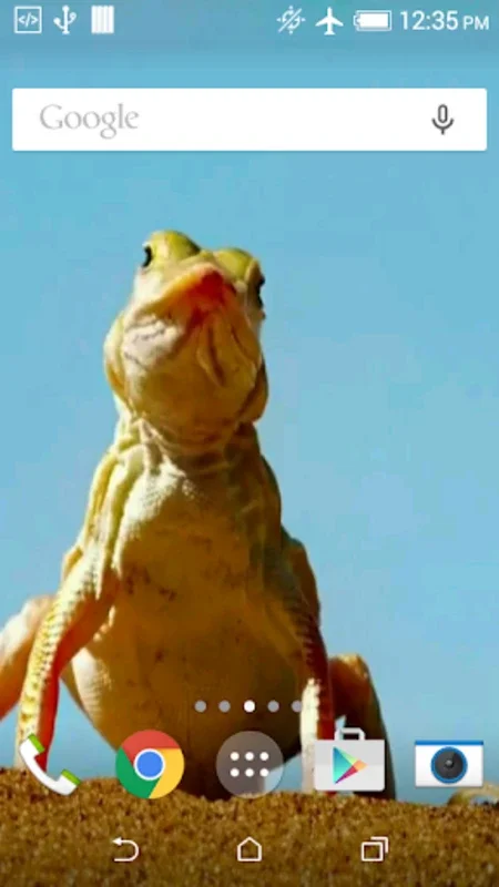 Funny Lizard Live Wallpaper for Android - Enhance Your Screen