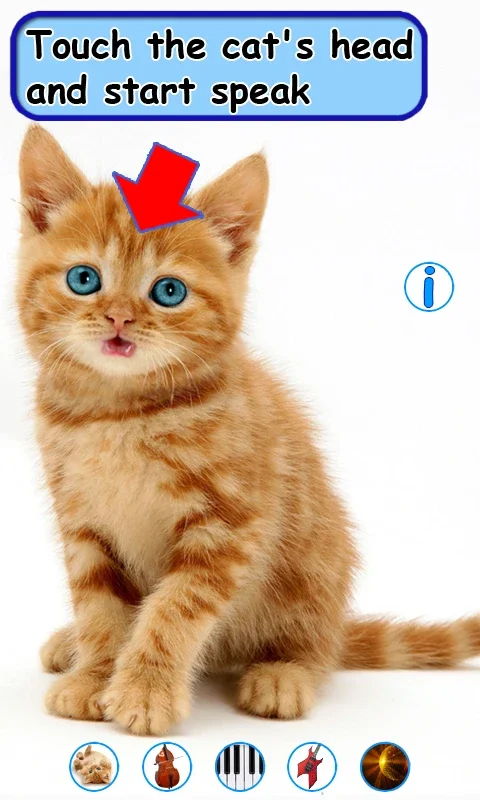 Talking, Dancing Cat. for Android: An Interactive Entertainment