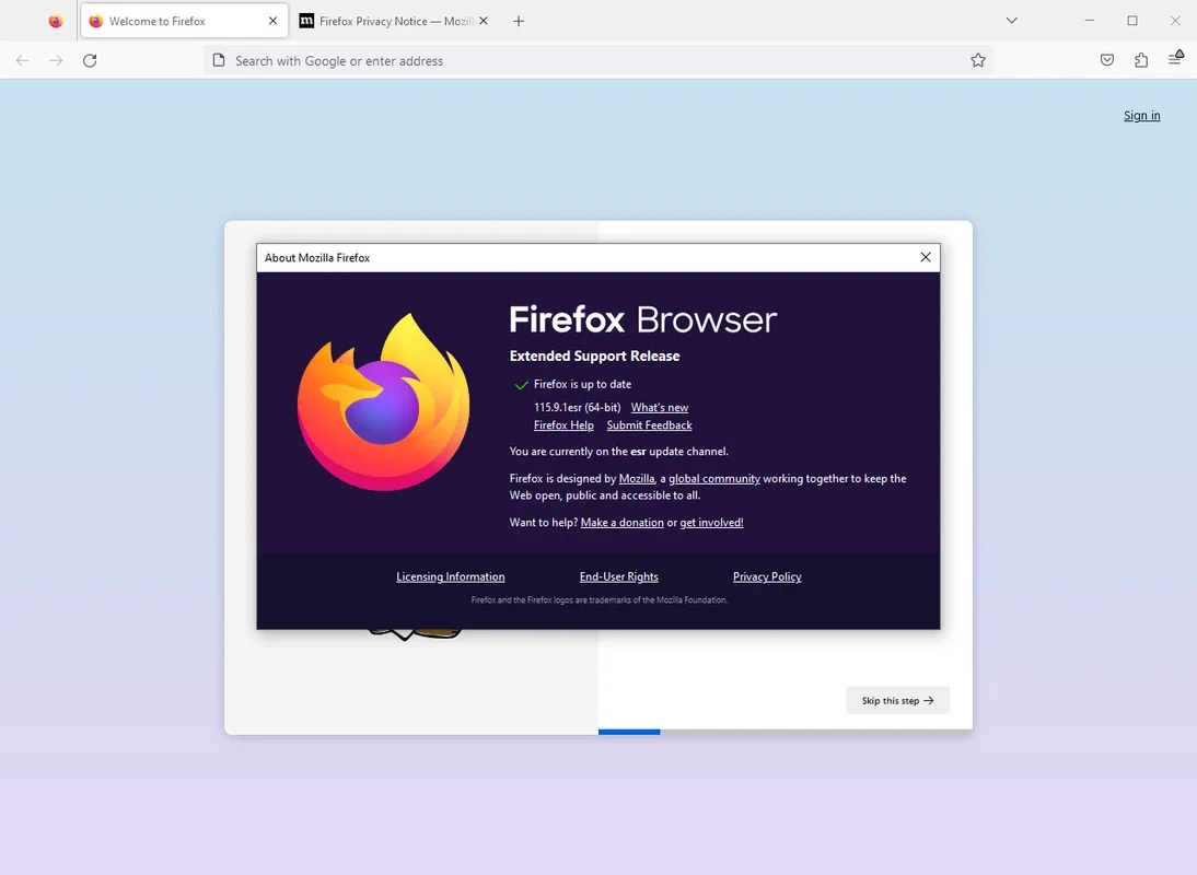 Firefox ESR for Windows: Ideal for Large Institutions