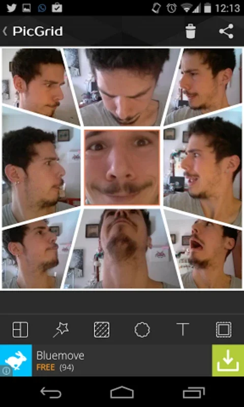 PicGrid for Android: Create Stunning Collages