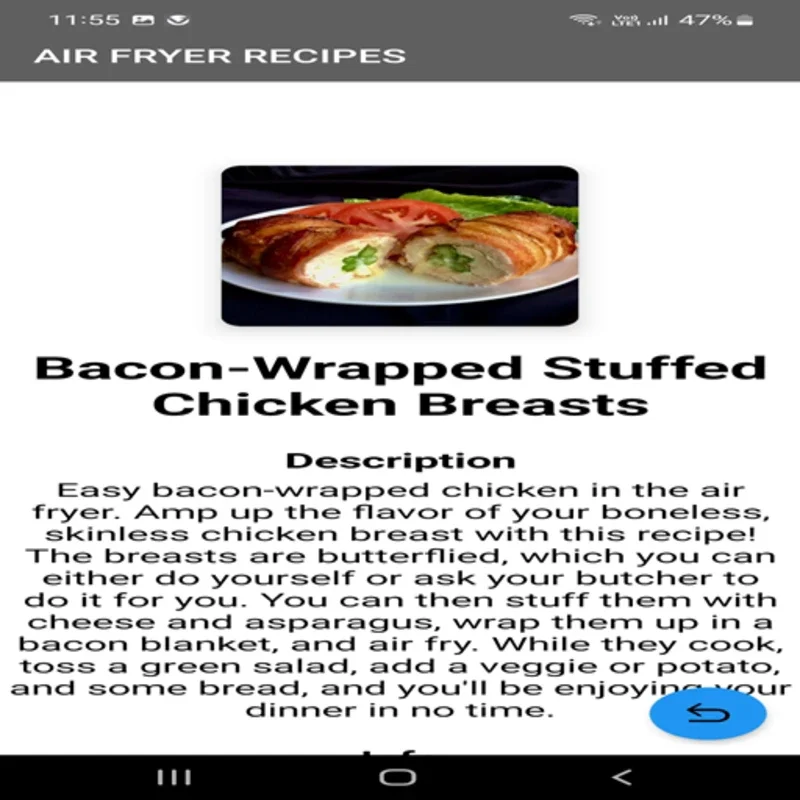 Air_Fryer_Recipes for Android: Diverse Recipes App