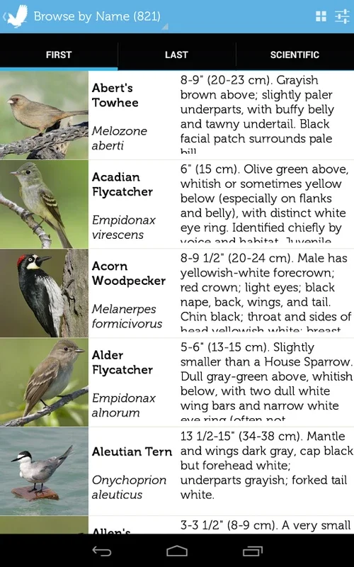 Audubon Bird Guide for Android - Comprehensive Bird App