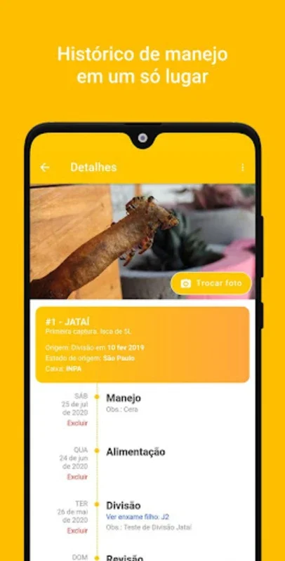 Beehapp for Android: Streamline Beekeeping