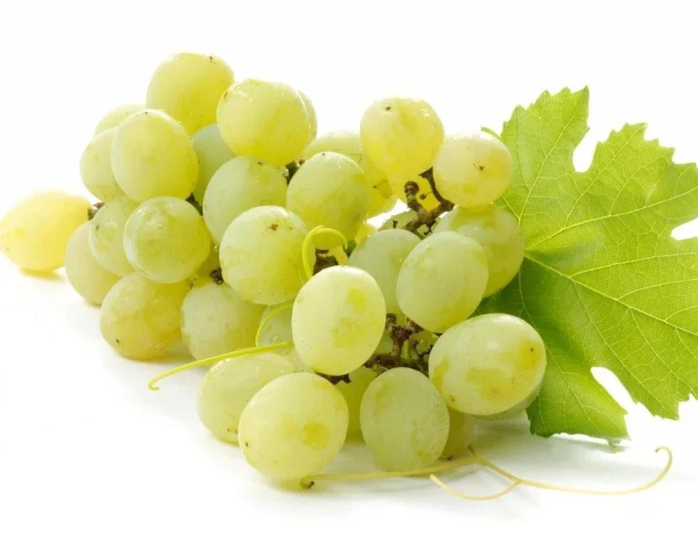 Grapes Wallpapers for Android - Enhance Your Device