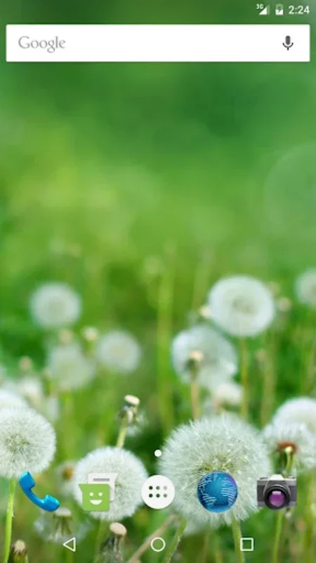 Wallpapers Dandelion for Android - Enhance Your Phone