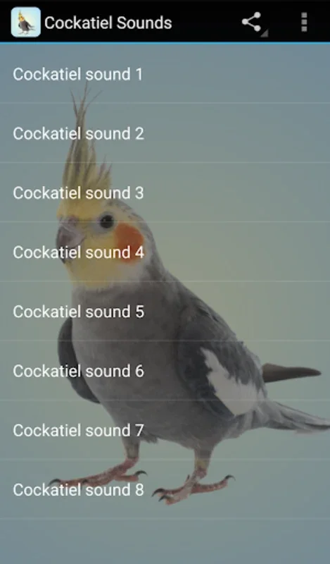 Cockatiel Sounds for Android: Enhance Bond & Communication