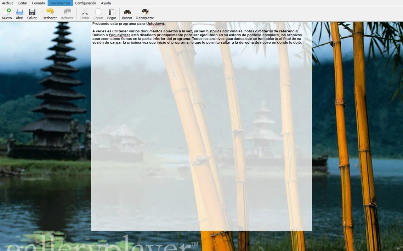 FocusWriter Portable for Windows - Minimize Distractions