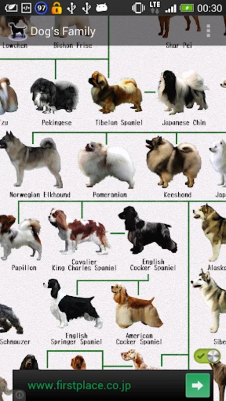 Dog Breeds for Android - Explore Detailed Canine Insights