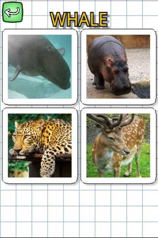 Animals in English for Android - Fun Educational App