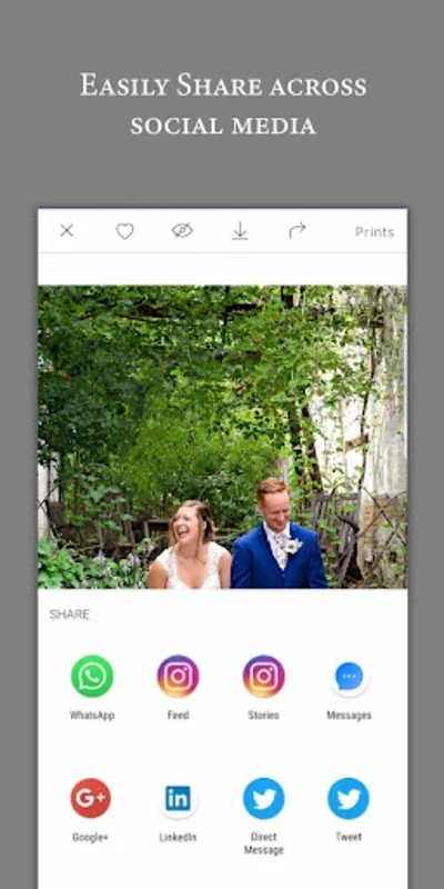 Pass Gallery & Store for Android: Efficient Image Management