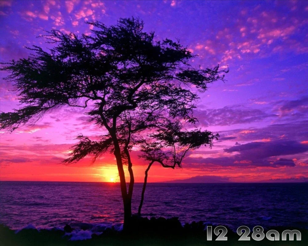 Striking Sunsets: Stunning Sunset Screensaver for Windows