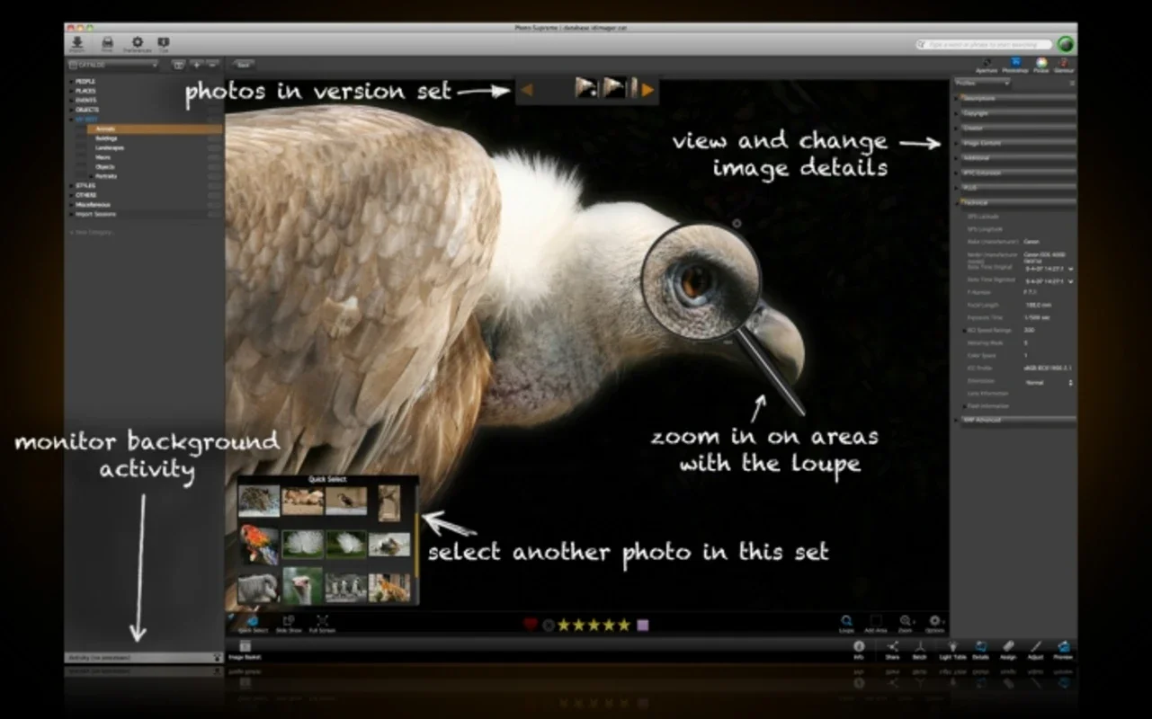 Photo Supreme for Mac: Efficient Photo Cataloging