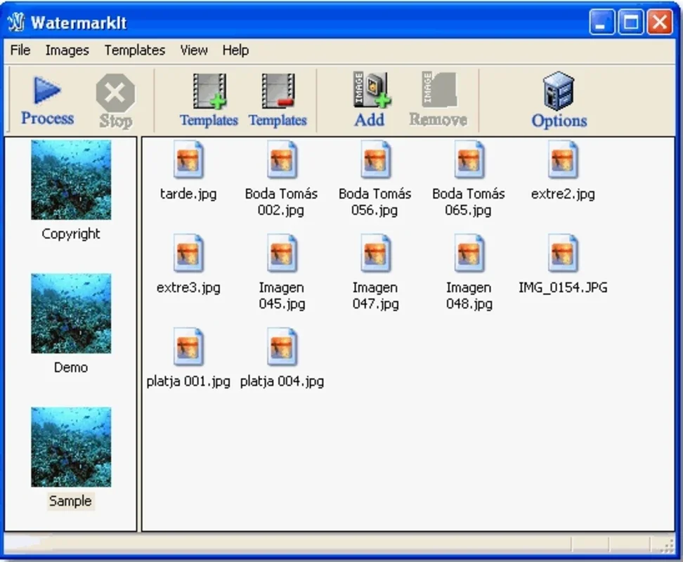 WatermarkIt for Windows - Secure Your Photos