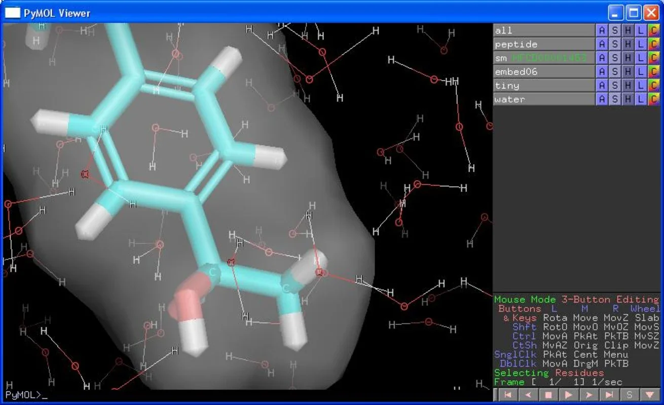 PyMOL for Mac - Ideal for Molecular Structure Analysis